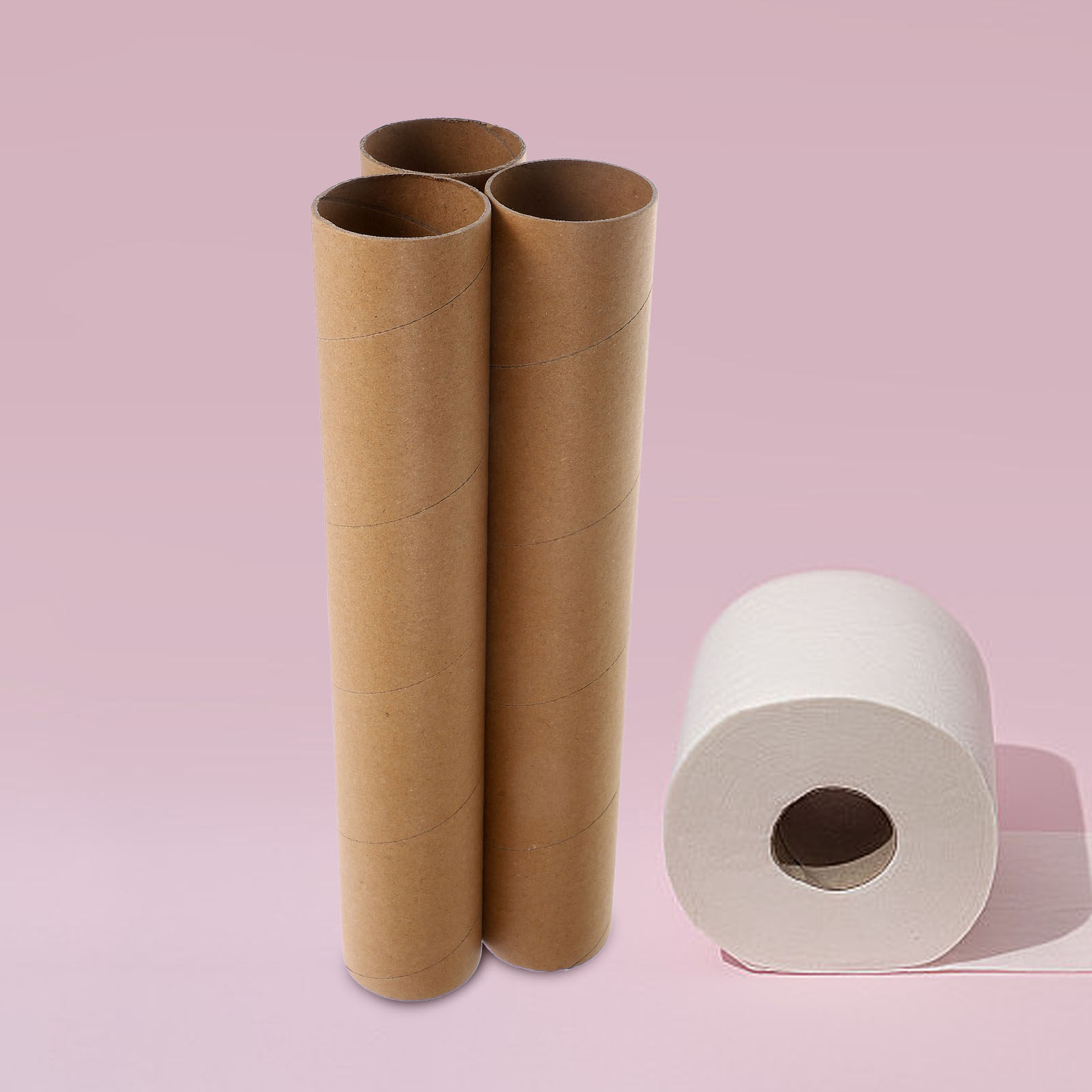Art Craft For Kindergarten - 幼稚園や幼児教育、創造的な手作りプロジェクト、教室や家庭での芸術活動に使える、無地の紙製ロール状の筒状素材3個入り。