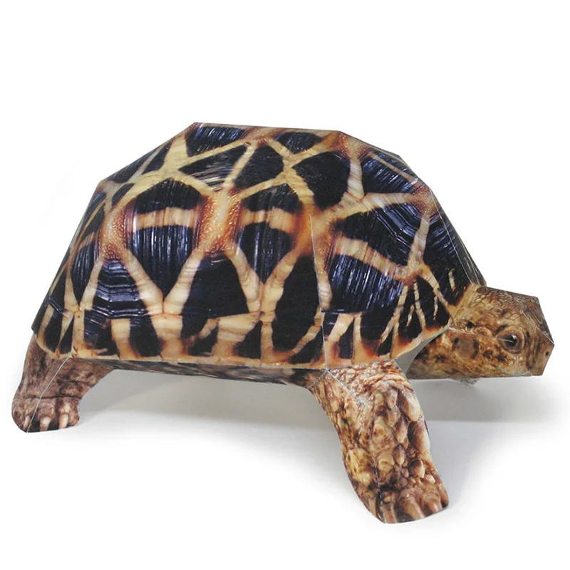 Art Craft With Cardboard - インドのスターカメ紙モデル、リアルな動物、ミニ折り紙アート、かわいい3Dペーパークラフト、DIYキッズ、大人の手作りクラフトおもちゃ、私たち-053