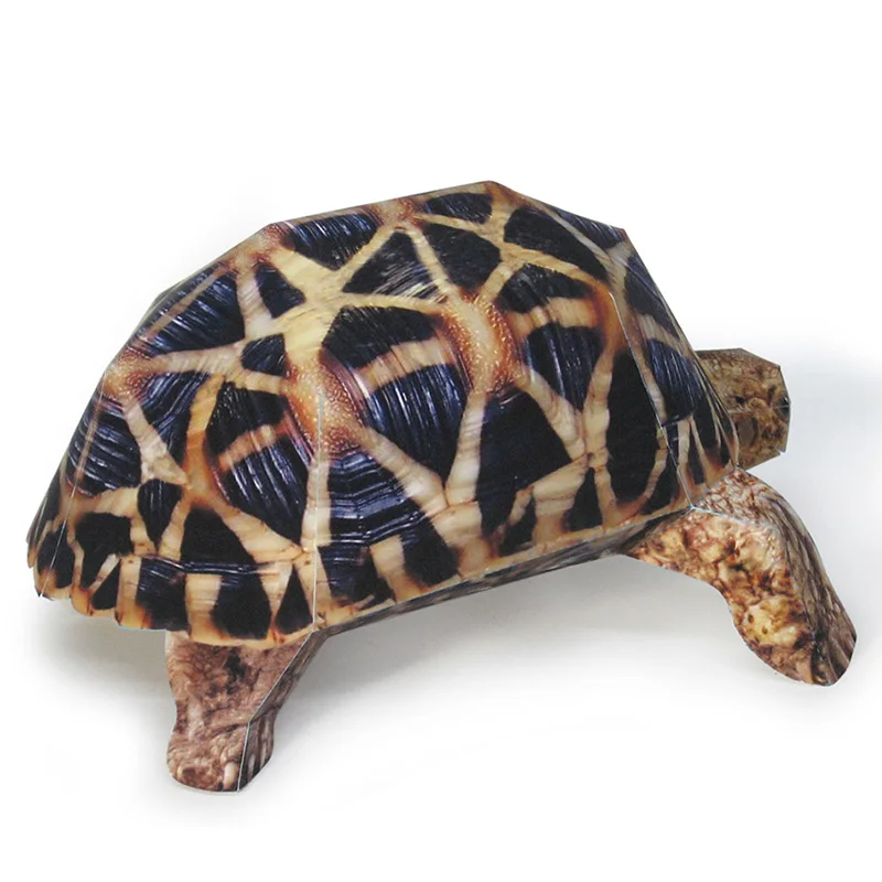 インドのスターカメ紙モデル、リアルな動物、ミニ折り紙アート、 - Art Craft With Cardboard のレビューと価格